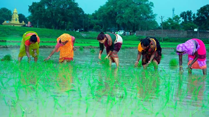 Centre Releases Rs 171 Cr Under PM-KISAN To 8.55 Lakh Farmers Of Flood