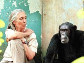 Jane Goodall, conservationist renowned for chimpanzee research and environmental advocacy, has died