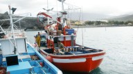 Europa abre un canal directo con Canarias en apoyo a la pesca de las RUP