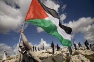 Palestina en corto: cine y diálogo para la reflexión llega al Celarg
