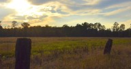Bingham’s Light: Ghost story or swamp gas?