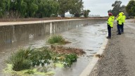 California Workers Find Scared Animal Trapped In 10-Foot-Deep Canal After Storm And Rush To Help