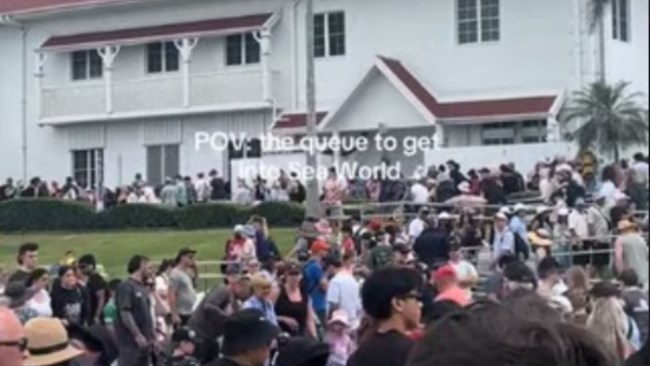 'Never once seen it like that': Long weekend, school holidays mayhem at Sea World, Gold Coast