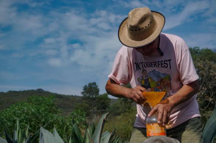 PERSONAJE | Don Isidro, el corazón del pulque en Tarímbaro