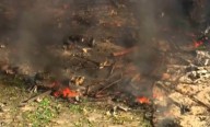 Mueren las 18 personas desaparecidas tras explosión en fábrica de municiones en Tennessee