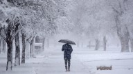 Michigan winter predictions from almanacs, weather service. How cold it will get