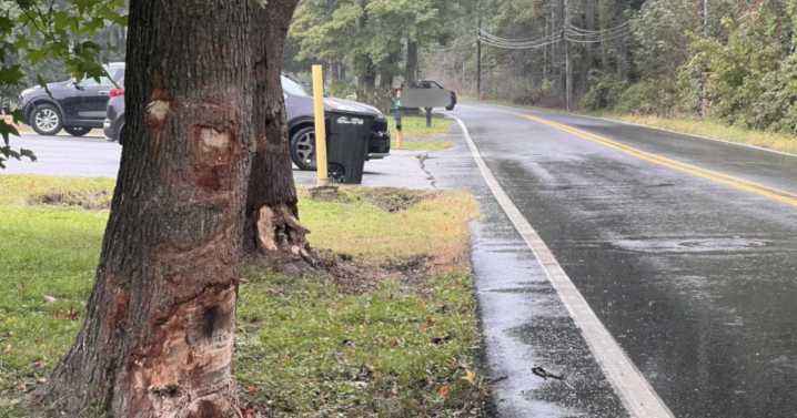 Neighbors double down on push for speed measures after deadly crash kills two teens