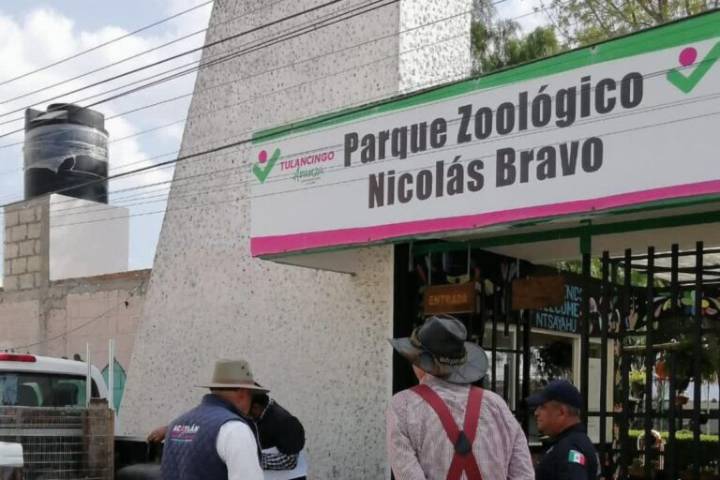Esto dijo la directora del zoológico de Tulancingo sobre la advertencia de Profepa