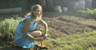 EarthTalk: Eco-advocates urge growing backyard gardens