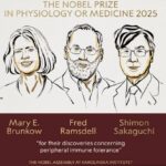 El premio Nobel de Medicina 2025 fue otorgado a...