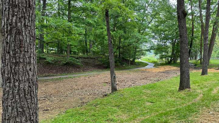 Louisville Metro Council approves new park police