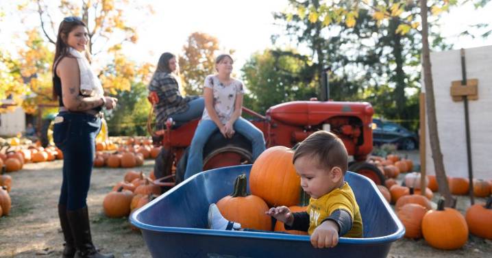 Fall fun at Hilger Family Farm