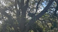 El Servicio Secreto encuentra un puesto de caza "sospechoso" cerca de la zona de aterrizaje del Air Force One en Florida