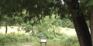 Listening session to be held tonight on future plans for Mosquito Hill Nature Center