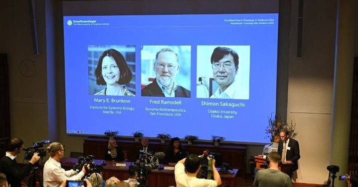 El Nobel de Medicina premia la investigación sobre el control del sistema inmunitario