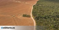 La forma de producir comida amenaza el funcionamiento del planeta: gases, consumo de agua y extinciones