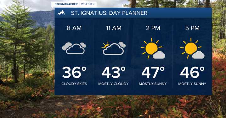 Weather Forecast: Morning clouds then afternoon sun