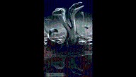 This “Truly Exceptional” Fossil Of A Two-Headed Reptile Is 125 Million Years Old