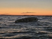 Boater rescued after abandoning sinking boat off N.J. coast