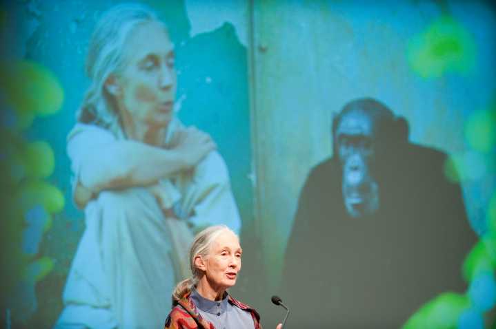 Jane Goodall died before the world caught up, Suzuki says