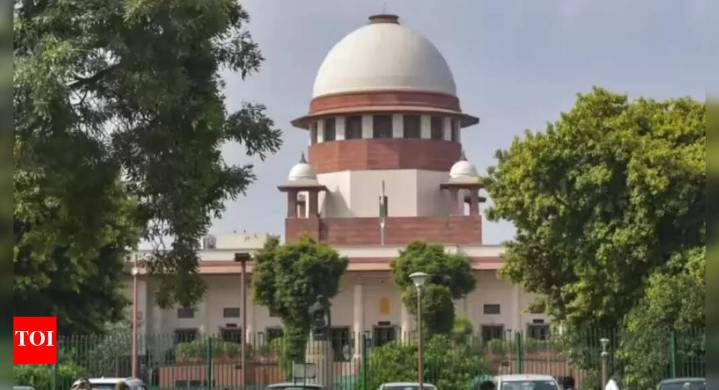 SC walks tightrope, says yes to green crackers on Diwali & eve