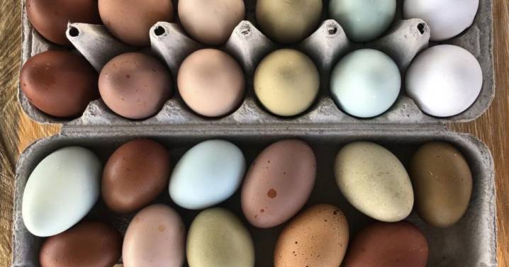 Last Best Bite: Why the Bozeman Winter Farmers’ Market is one of the warmest places in town