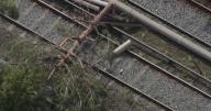 Downed tree on BART tracks between Fremont, Union City stations halts service on Berryessa Line