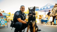 'Good boy' Gambit: K9 aids arrest after reckless