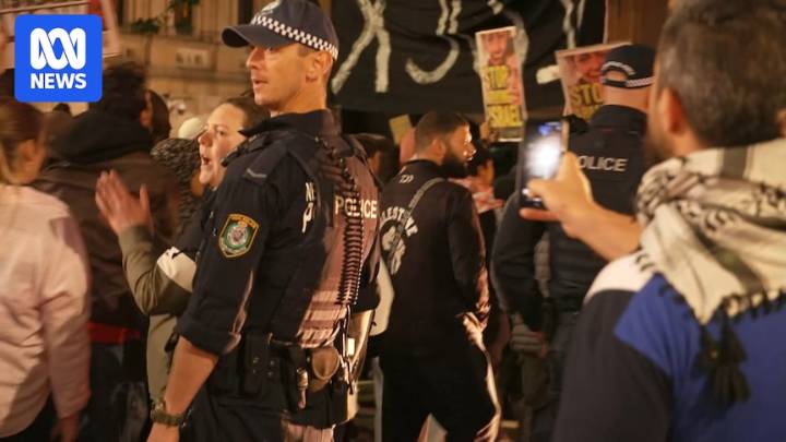 Protesters restrained at snap pro-Palestinian rally at Sydney Town Hall