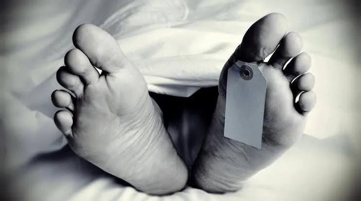 Semi- decomposed body found In Shopian forests