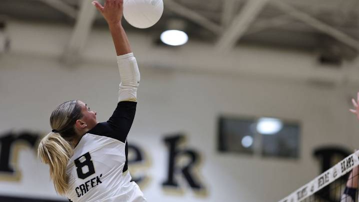 Fans' Choice: Vote for your Midseason Volleyball Player of the Year