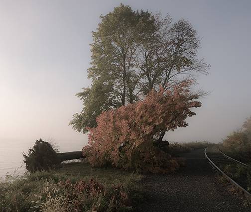 What’s happening in the Mid-Hudson Valley: Oct. 12, 2025