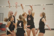 Volleyball: Alexandria controls serve to down Moorhead in Section 8