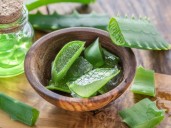 Por qué el aloe vera es esencial en la rutina diaria para combatir los signos del envejecimiento
