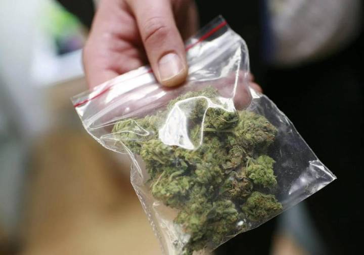 El Gobierno aprueba el uso del cannabis en medicamentos a través de un Real Decreto