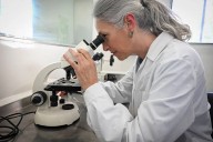 Ciencia cordobesa: el Centro de Excelencia de Productos y Procesos de Córdoba cumple 33 años