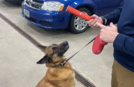 Fargo Police Department K9 Officer Honored with Award