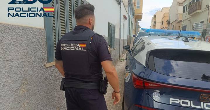 Detenidos dos jóvenes tras entrar a robar en una vivienda de la zona de Portopí