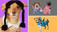 Top retailers to find Halloween costumes for dogs this spooky season