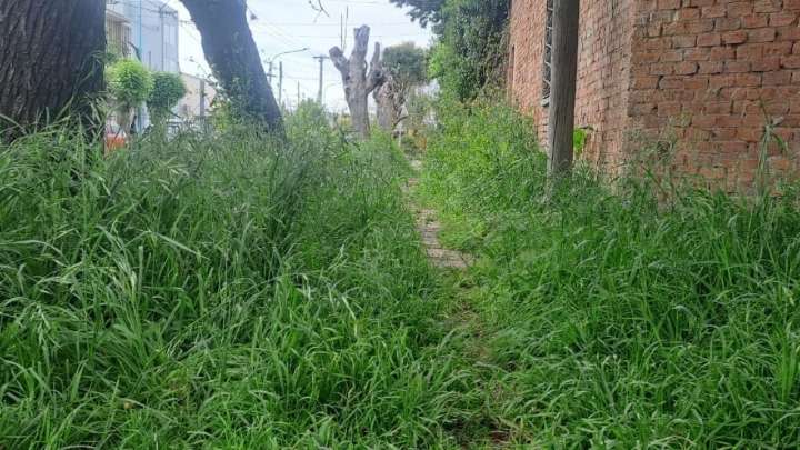 Veredas en mal estado: un problema que afecta a la seguridad y la imagen urbana