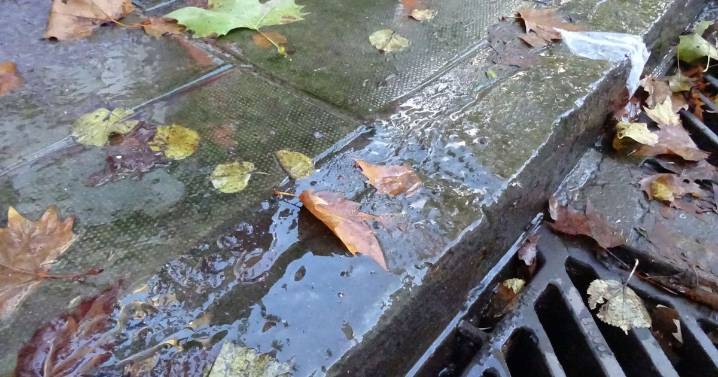 Furious neighbours hit our after water leak ignored for 'months'