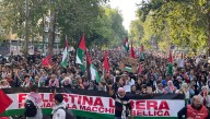 En Vivo | Histórica huelga en Italia: bloqueos y paralizaciones en solidaridad con Palestina