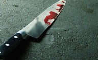 Policía de Schaumburg investiga apuñalamiento fatal de hija del Dr. Latouff