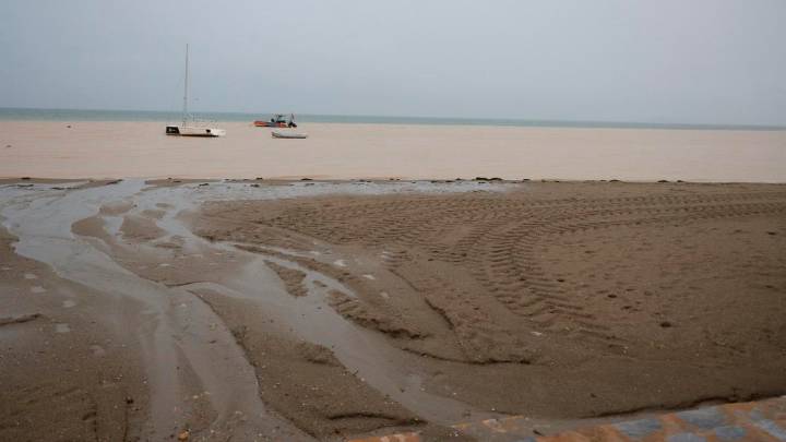 La fauna del Mar Menor empieza a huir del sur porque falta oxígeno: ya hay anoxia en el fondo