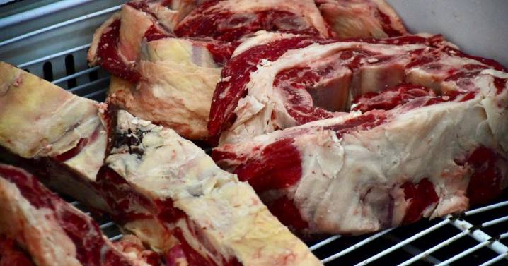 Chile restituyó el estatus sanitario a la ganadería de la Patagonia