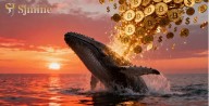 Bitcoin sube por encima de los $114,000 mientras los factores estacionales inclinan la balanza hacia un aumento