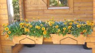 Verano sin complicaciones: cómo tener un jardín colorido y fácil de cuidar