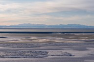 Trump administration finalizes plan to open Alaska wildlife refuge to oil and gas drilling