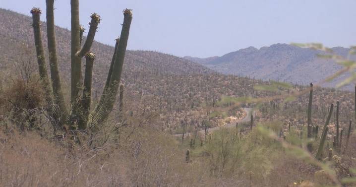 Tucson's Sabino Canyon gets new parking and restroom upgrades