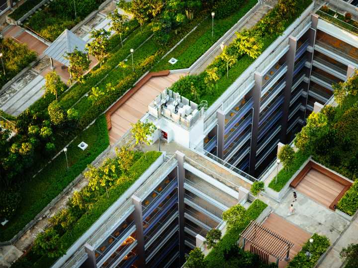 What’s the deal with green roofs?